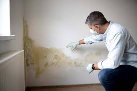 Best Post-Construction Mold Inspection in Tiburon, CA